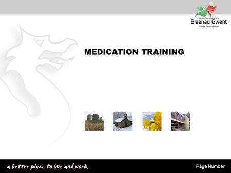 MEDICATION TRAINING Page Number. Medication Training Learning Outcomes To understand why it is necessary to do medication training To realise the importance.