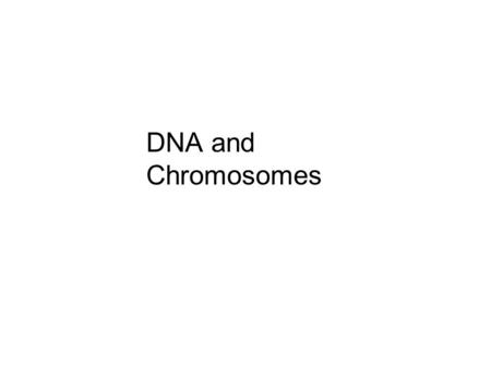 DNA and Chromosomes.