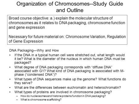 Organization of Chromosomes--Study Guide and Outline
