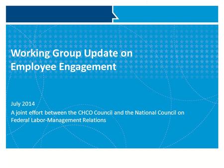 Working Group Update on Employee Engagement July 2014 A joint effort between the CHCO Council and the National Council on Federal Labor-Management Relations.