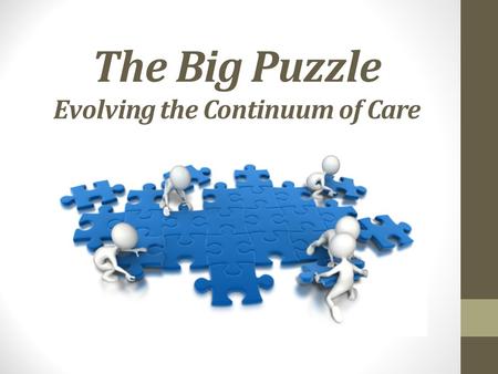 The Big Puzzle Evolving the Continuum of Care. Agenda Goal Pre Acute Care Intra Hospital Care Post Hospital Care Grading the Value of Post Acute Providers.