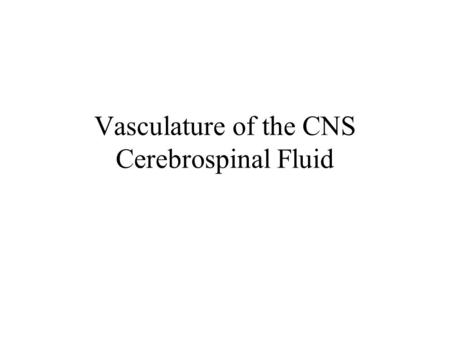 Vasculature of the CNS Cerebrospinal Fluid. Blood Supply Continuous blood supply to CNS is vital. Not stored in significant amounts. Reason why vascular.