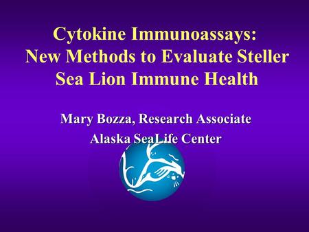 Cytokine Immunoassays: New Methods to Evaluate Steller Sea Lion Immune Health Mary Bozza, Research Associate Alaska SeaLife Center.
