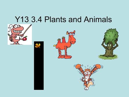 Y13 3.4 Plants and Animals. Part 1: The environment The environment is the sum total of abiotic and biotic factors of an area that influence the lives.