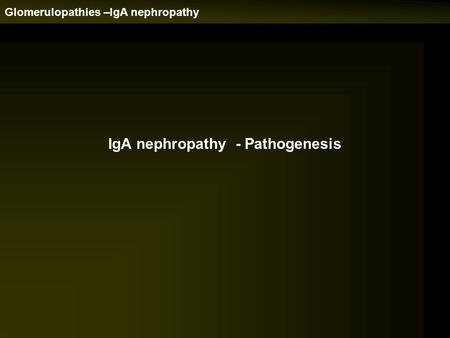 Glomerulopathies –IgA nephropathy IgA nephropathy - Pathogenesis.