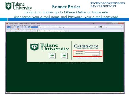 Banner Basics To log in to Banner go to Gibson Online at tulane.edu User name: your e-mail name and Password: your e-mail password TECHNOLOGY SERVICES.