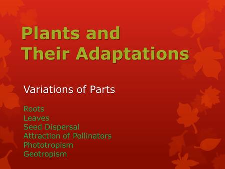 Plants and Their Adaptations Variations of Parts Roots Leaves Seed Dispersal Attraction of Pollinators Phototropism Geotropism.