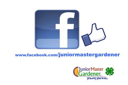 Www.facebook.com /juniormastergardener.  2012 Sept JMG State Coordinator Updates Building a Vegetable Garden Certification Growums Fundraiser JMG Online.
