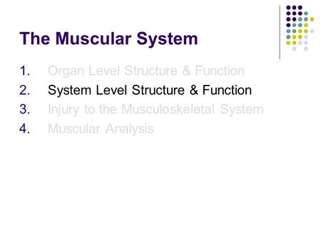 The Muscular System 1.Organ Level Structure & Function 2.System Level Structure & Function 3.Injury to the Musculoskeletal System 4.Muscular Analysis.