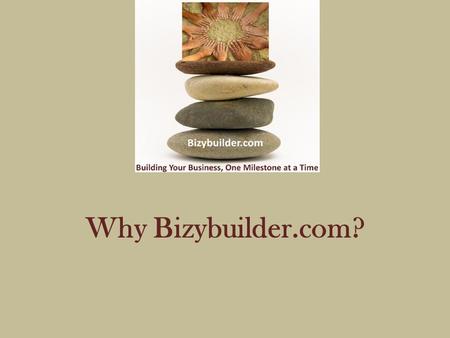Why Bizybuilder.com?. What Do We Know About Internet Advertising? B.B.A. Marketing & Advanced Professional Sales Certification from University of Houston.