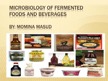 Microbiology of Fermented Foods and Beverages By: Momina Masud