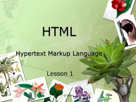 Q.Nand HTML Hypertext Markup Language Lesson 1. Q.Nand Overview Introduction the World Wide Web Structure of the internet The Development of the World.