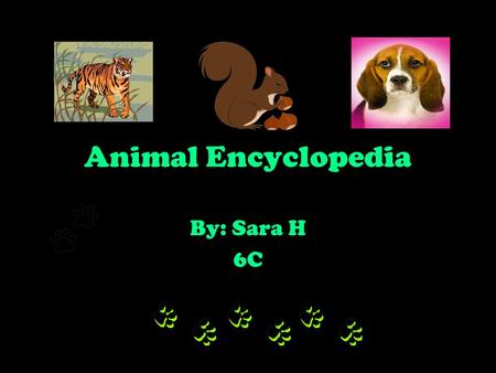 Animal Encyclopedia By: Sara H 6C.