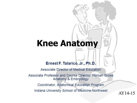 Knee Anatomy Ernest F. Talarico, Jr., Ph.D. Associate Director of Medical Education Associate Professor and Course Director, Human Gross Anatomy & Embryology.