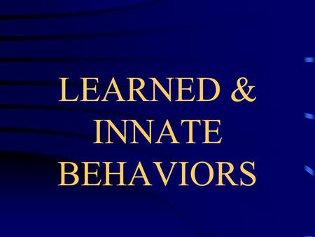 LEARNED & INNATE BEHAVIORS BEHAVIOR STIMULUS- Something in the environment to which an organism will respond.