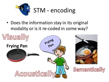 STM - encoding Does the information stay in its original modality or is it re-coded in some way? Frying Pan.