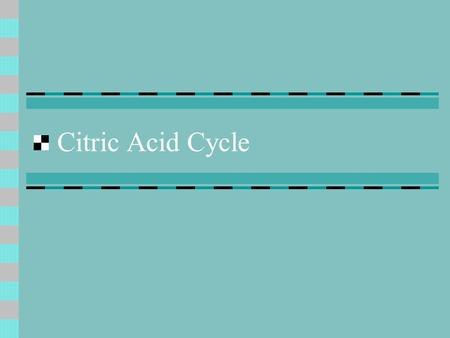 Citric Acid Cycle. General Considerations What is the importance of citric acid cycle? final common pathway for oxidation of fuel molecules provides intermediates.