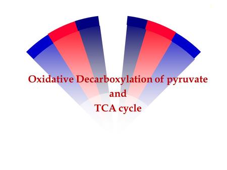Oxidative Decarboxylation of pyruvate and TCA cycle