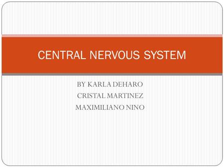 BY KARLA DEHARO CRISTAL MARTINEZ MAXIMILIANO NINO CENTRAL NERVOUS SYSTEM.