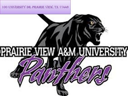 100 University Dr. Prairie View, TX 77446. DISTANCE FROM HOME It takes 3 hours and 17 minutes to travel from my house to Prairie View A&M. It takes 219.2.