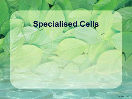 Specialised Cells D. Crowley, 2007. Specialised cells To know how animal and plant cells are adapted for different functions Friday, August 14, 2015.
