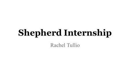 Shepherd Internship Rachel Tullio. Little Flower Clinic ●Healthcare for the homeless clinic ●Services ○Visits with a Medical Provider ○Disease/Case Management.