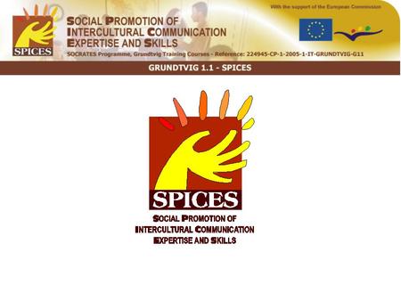 SOCIAL PROMOTION OF INTERCULTURAL COMMUNICATION EXPERTISE AND SKILLS.