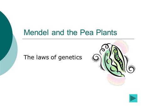 Mendel and the Pea Plants The laws of genetics. Introduction to the lesson While you are working through this lesson you will see many different buttons.