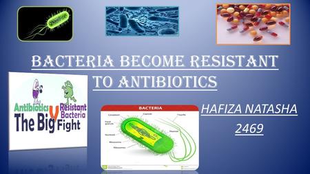 BACTERIA BECOME RESISTANT TO ANTIBIOTICS HAFIZA NATASHA 2469.