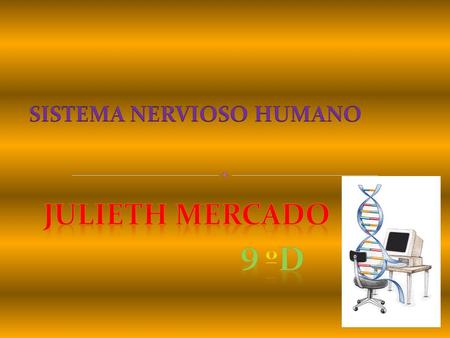 Sistema nervioso centralSistema nervioso periférico Sistema nervioso autónomo Hiper víncul o.