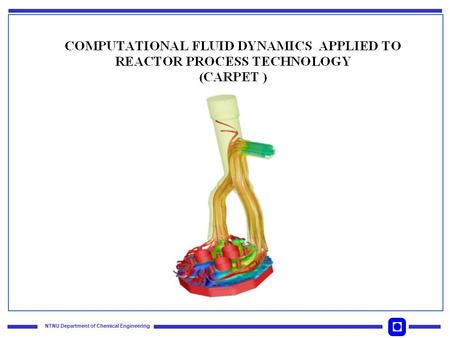 NTNU Department of Chemical Engineering. Acronym for CFD Applied to Reactor ProcEss Technology Program duration : from 2001 through 2004 Total budget.