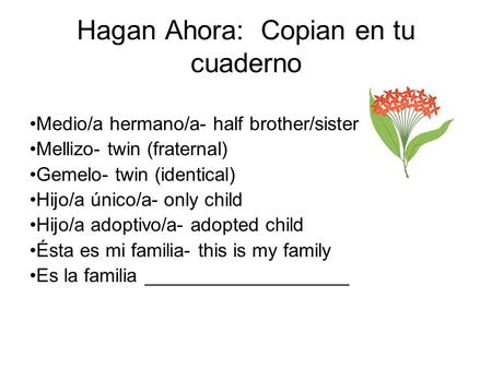 Hagan Ahora: Copian en tu cuaderno Medio/a hermano/a- half brother/sister Mellizo- twin (fraternal) Gemelo- twin (identical) Hijo/a único/a- only child.