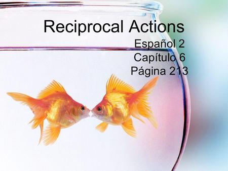 Reciprocal Actions Español 2 Capítulo 6 Página 213.