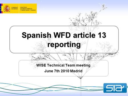 Spanish WFD article 13 reporting WISE Technical Team meeting June 7th 2010 Madrid.