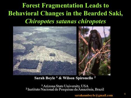 Forest Fragmentation Leads to Behavioral Changes in the Bearded Saki, Chiropotes satanas chiropotes Sarah Boyle 1 & Wilson Spironello 2 1 Arizona State.
