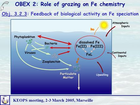 KEOPS meeting, 2-3 March 2005, Marseille OBEX 2: Role of grazing on Fe chemistry Obj. 3.2.3: Feedback of biological activity on Fe speciation.