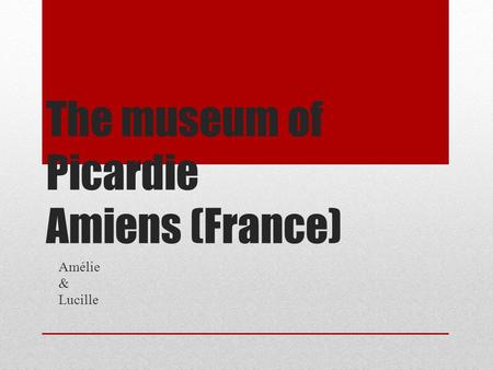 The museum of Picardie Amiens (France) Amélie & Lucille.