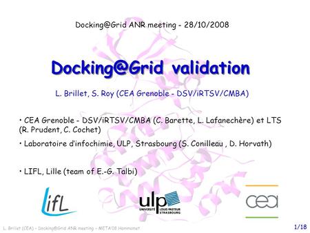 L. Brillet (CEA) – ANR meeting – META08 Hammamet 1/18 validation ANR meeting - 28/10/2008 CEA Grenoble - DSV/iRTSV/CMBA.