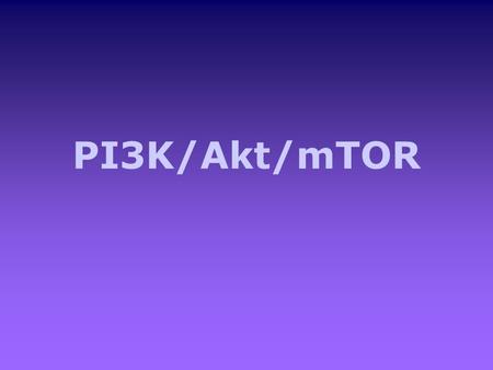 PI3K/Akt/mTOR.