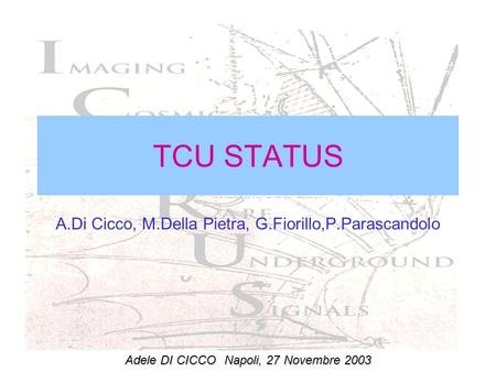 TCU STATUS A.Di Cicco, M.Della Pietra, G.Fiorillo,P.Parascandolo Adele DI CICCONapoli, 27 Novembre 2003.