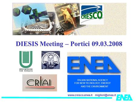 ITALIAN NATIONAL AGENCY FOR NEW TECNOLOGY, ENERGY AND THE ENVIRONMENT DIESIS Meeting – Portici 09.03.2008.