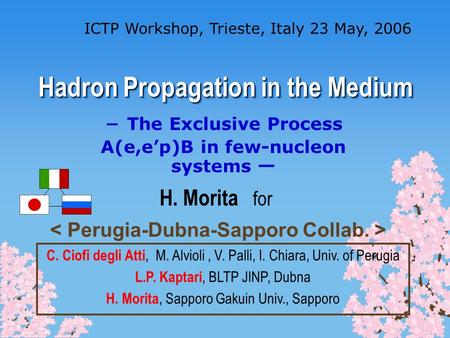 Hadron Propagation in the Medium ICTP Workshop, Trieste, Italy 23 May, 2006 The Exclusive Process A(e,ep)B in few-nucleon systems H. Morita for C. Ciofi.