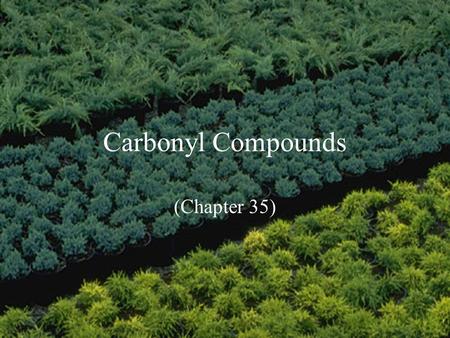 Carbonyl Compounds (Chapter 35). Carbonyl compounds C O Carbonyl group sp 2 hybridized carbon Coplanar bonds, 120 o bond angle p-p overlap bond Two types.