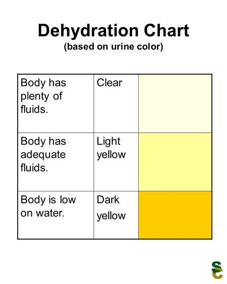 Dehydration Chart (based on urine color)