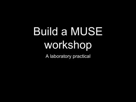 Build a MUSE workshop A laboratory practical. I. Create Identify Niche Market that is affordably reachable Brainstorm Products (not invest in products)