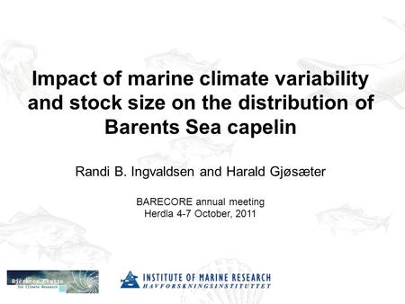Impact of marine climate variability and stock size on the distribution of Barents Sea capelin Randi B. Ingvaldsen and Harald Gjøsæter BARECORE annual.
