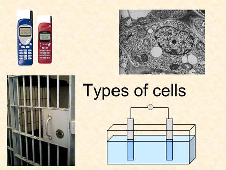 Types of cells. + + + – – – Overview Cells are containers of liquid with electrodes: In electrolytic cells, electricity is used to force chemicals to.