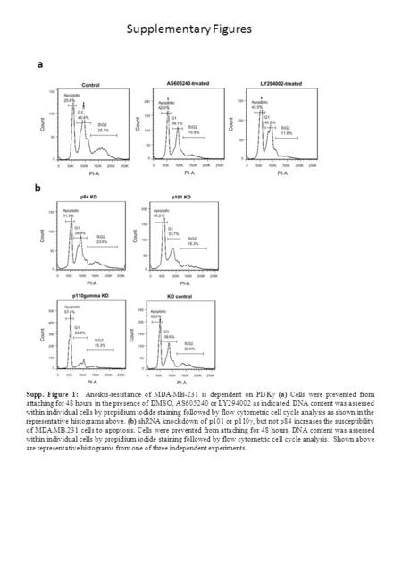 A b Supp. Figure 1: Anoikis-resistance of MDA-MB-231 is dependent on PI3Kγ (a) Cells were prevented from attaching for 48 hours in the presence of DMSO,