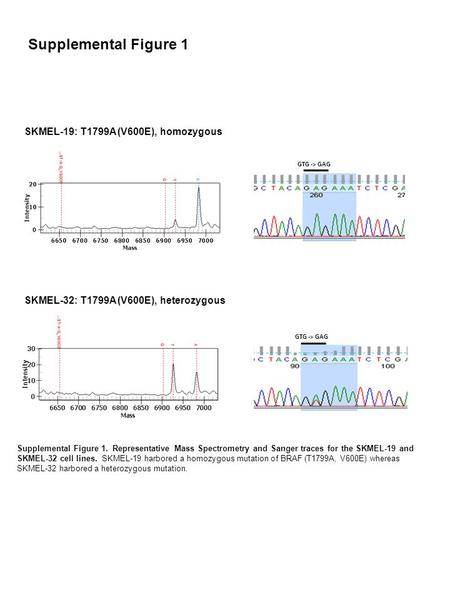Supplemental Figure 1 SKMEL-19: T1799A (V600E), homozygous