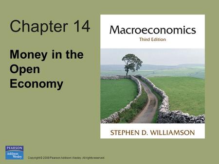 Copyright © 2008 Pearson Addison-Wesley. All rights reserved. Chapter 14 Money in the Open Economy.